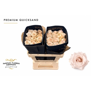 Rosa Premium Quicksand