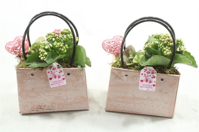 <h4>0. ZKE001 PINK BAG</h4>
