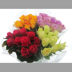 BQ Mono Rozen x10 mix 60cm