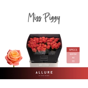 R Gr Miss Piggy Allure Berg