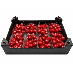 WAX APPEL H%