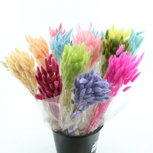 Dried Bleached Lagurus MIX 50gr