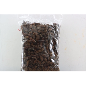 Dried Birch Pine 300gr Bag