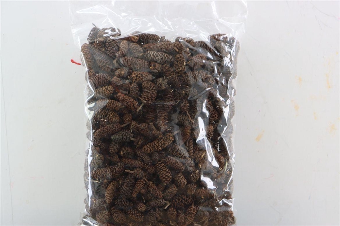 <h4>Dried Birch Pine 300gr Bag</h4>