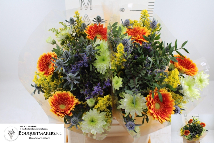 <h4>GEM BOEKET OV</h4>