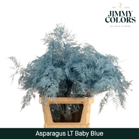 <h4>Aspa Lang Getopt Light Blue</h4>