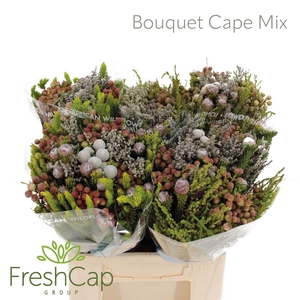 Bouquet Cape Mix