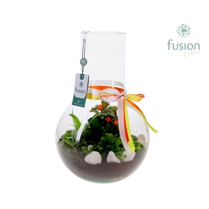 Green Bottle Suzanne Large met Grootmoederdag arrangement