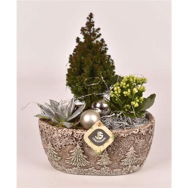 <h4>Cement ov. kerstboom decor 23x14cm</h4>