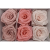 Ro Pres Classic Mix Pink