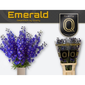 DELPH DU EMERALD 100CM X40