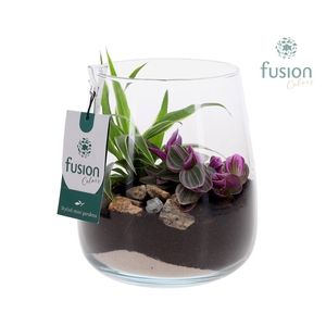 Glas Alzada met arrangement