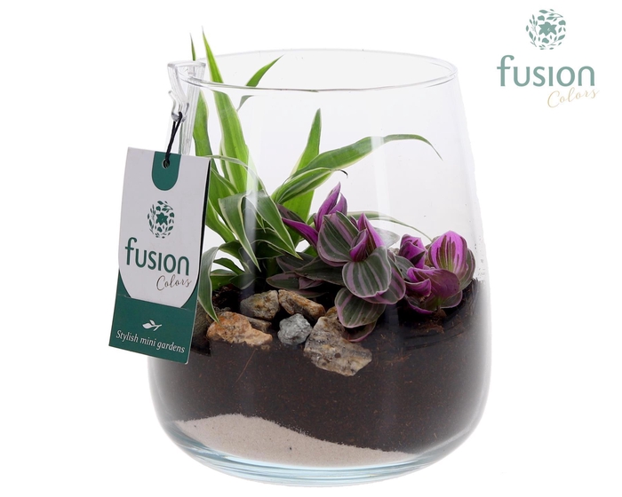 <h4>Glas Alzada met arrangement</h4>