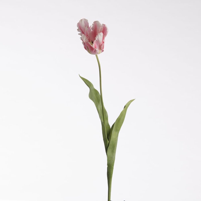 <h4>AF Tulip Parrot L83cm L.Pink</h4>
