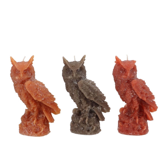 <h4>Candle Frosty Sitting Owl Scottish Brown Mix 7x17cm</h4>
