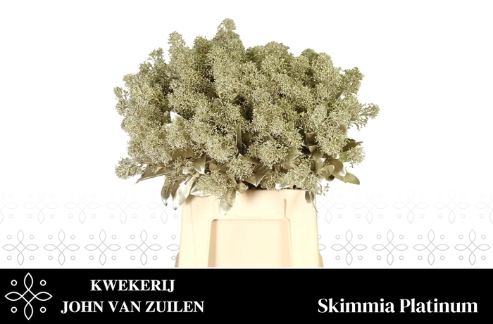 <h4>SKIM OV BS KLB H%</h4>