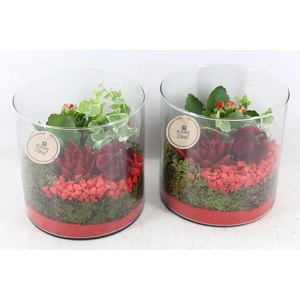 arr2 PL - Glas cilinder rood x5