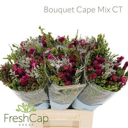 <h4>Bouquet Cape Mix Colour Treated</h4>