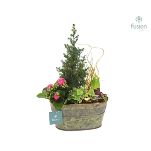 Schaal Zink ovaal Small Kerst met Arrangement