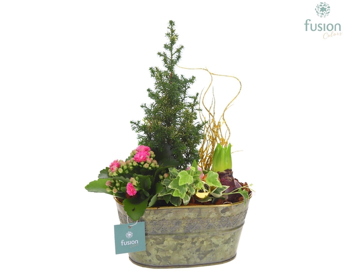 <h4>Schaal Zink ovaal Small Kerst met Arrangement</h4>