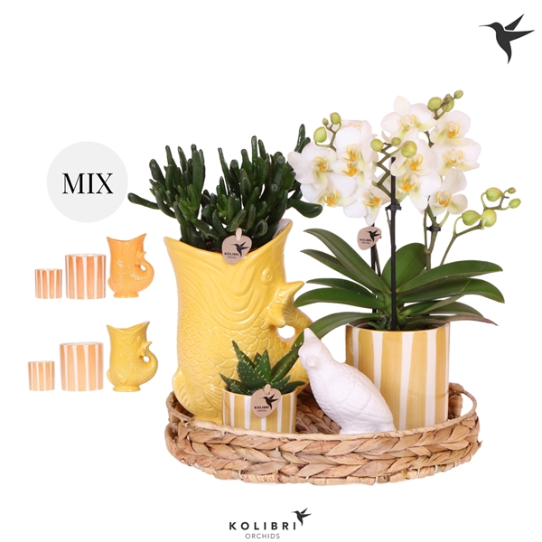 <h4>Kolibri Gift Set Mediterranean Sunset yellow orange mix</h4>