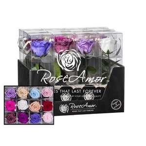 Display 20cm Stem Assorted Pastel