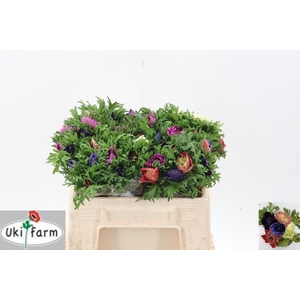 Anem Levante Gemengd In Bos