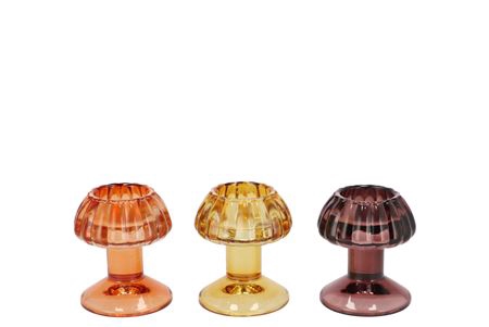 <h4>Nova Autumn Spices T-light Mushroom Structure Ass</h4>