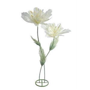 Stem Emperor Flower Double L50w50h180