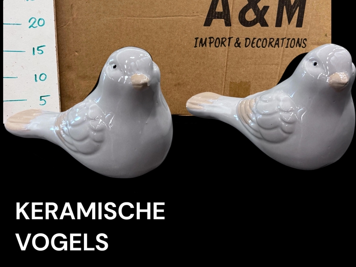 <h4>HUIS EN TUINDECO H%</h4>