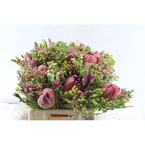 Protea Boeket