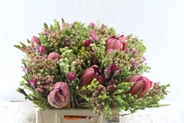 <h4>Protea Boeket</h4>