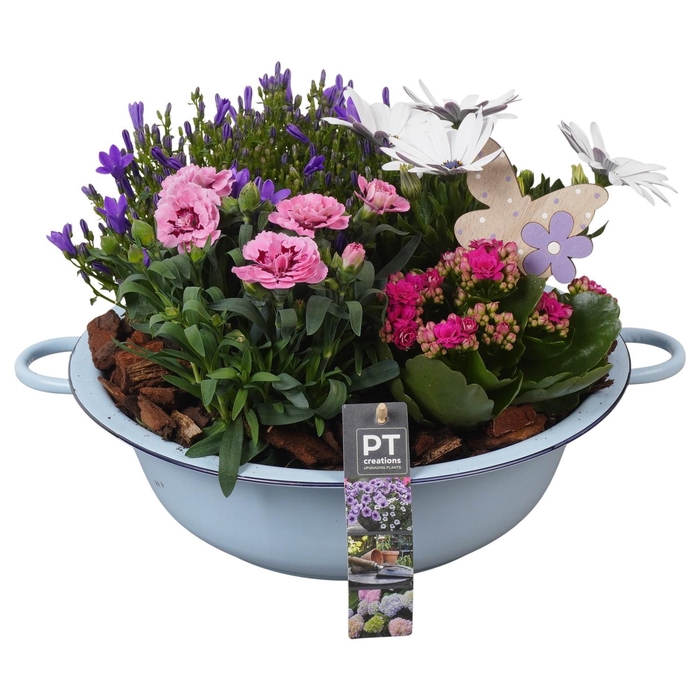 <h4>PTPP6853 Arrangement Patio in metalen schaal</h4>