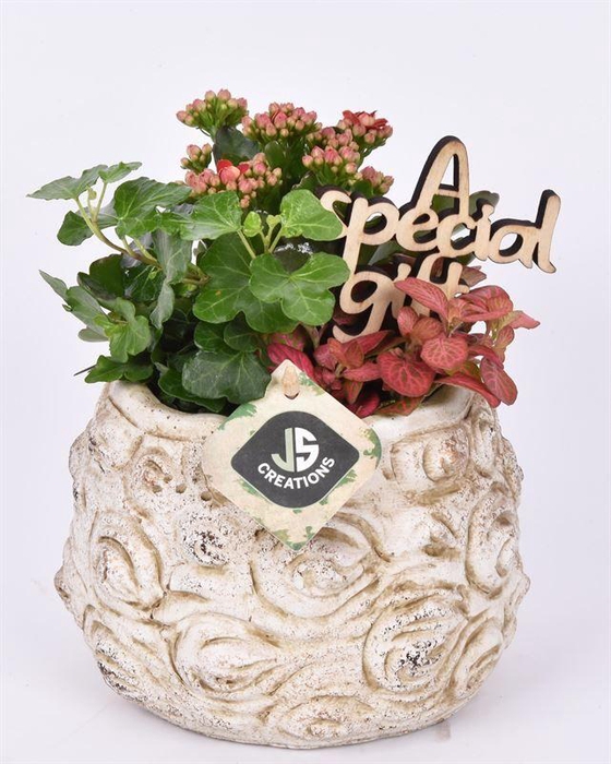 <h4>Cement pot bloemdecor 16cm</h4>