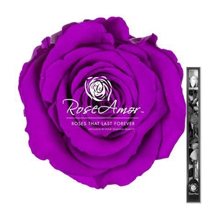 60cm Stem Pur02