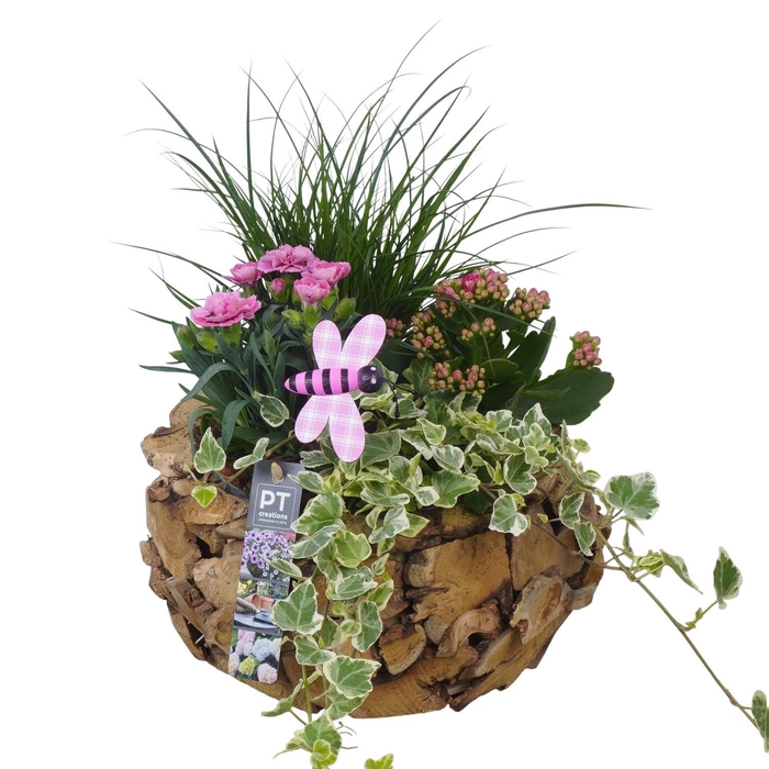 <h4>PTPP7045 Arrangement Patio in houten pot</h4>