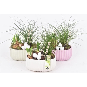 Keramiek ovaal mix kleur 18,5x12cm