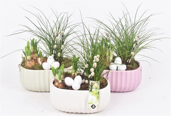 <h4>Keramiek ovaal mix kleur 18,5x12cm</h4>