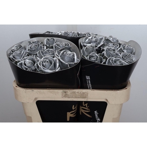 Wax-Rozen Wax Wit Zilver glitter