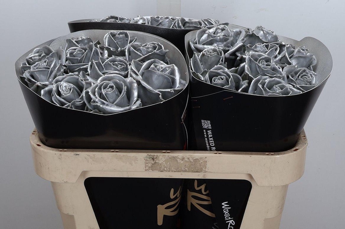 <h4>Wax-Rozen Wax Wit Zilver glitter</h4>