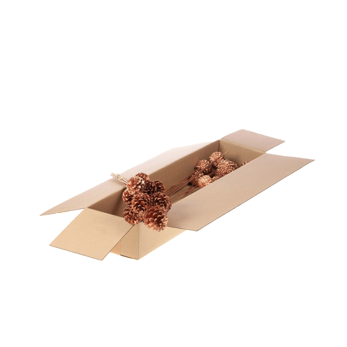 <h4>Pine C 5-7 O/s 10pc Sb Cp</h4>