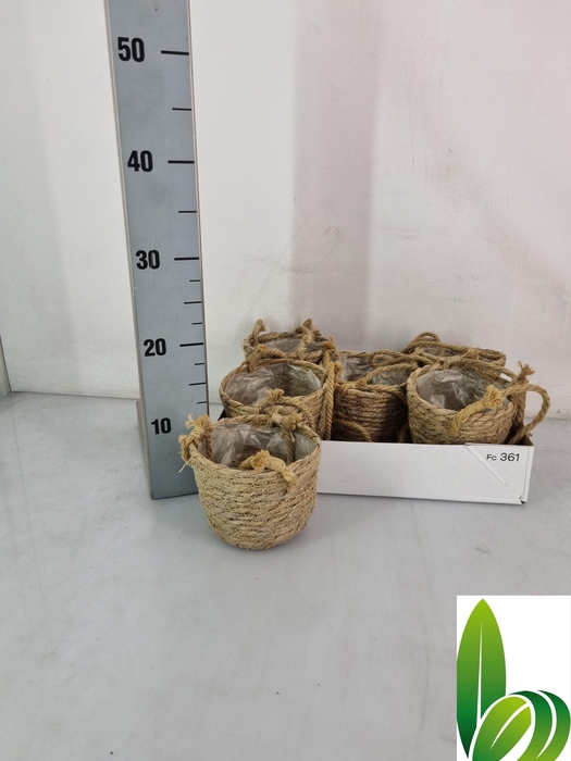 <h4>HUIS EN TUINDECO H%</h4>