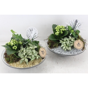 arr2 PL - Glas schaal 23cm - goud/zilver