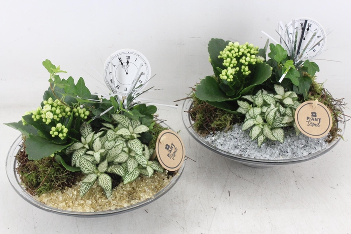 <h4>arr2 PL - Glas schaal 23cm - goud/zilver</h4>