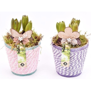 Hout pot paars/roze mix 13cm