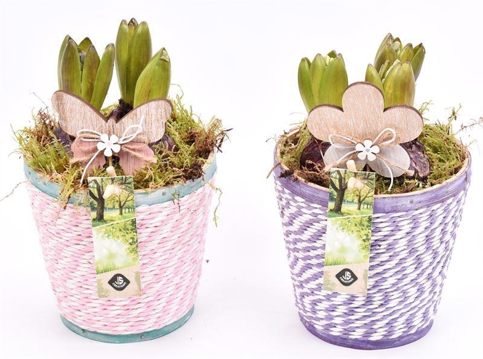 <h4>Hout pot paars/roze mix 13cm</h4>