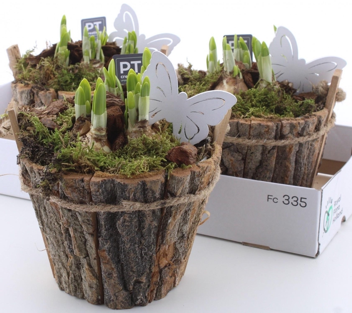 <h4>ARR N TETE A TETE</h4>