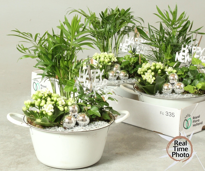 <h4>ARR KAMERPL</h4>