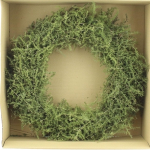 Wreath Asparagus Wild Preserved
