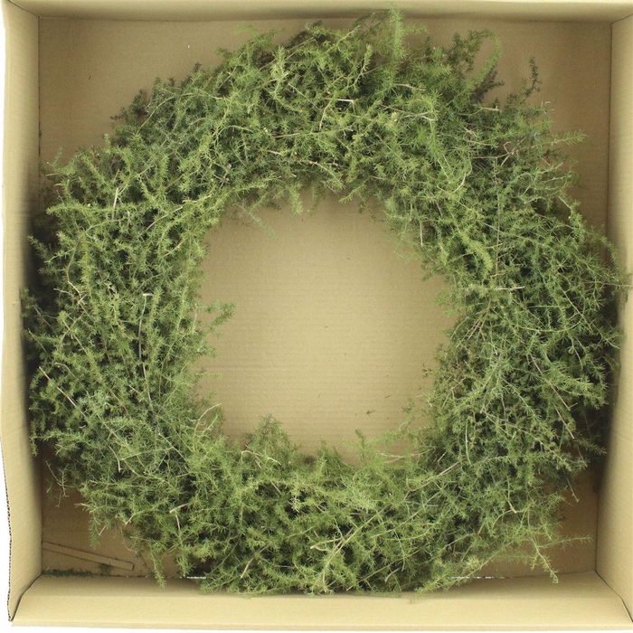 <h4>Wreath Asparagus Wild Preserved</h4>